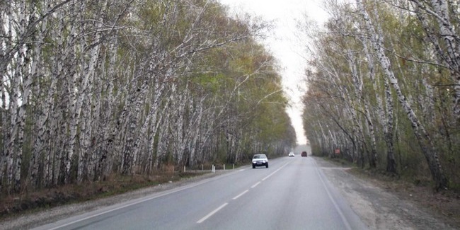 Омская область заняла 62-е место в рейтинге по качеству дорог