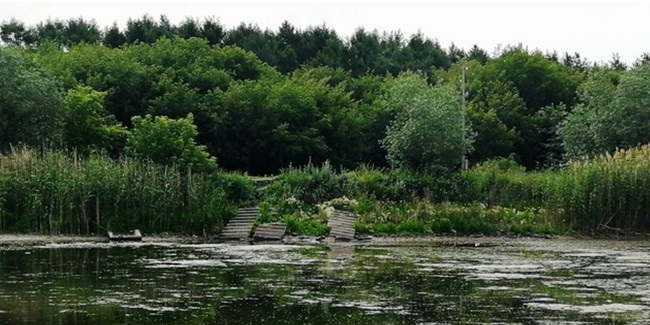 Минприроды не увидело поводов для тревоги из-за обмеления озера в одном из парков Омска