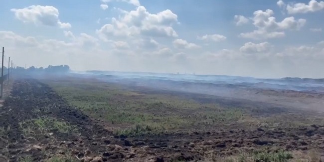 Помёт ещё горит: в Омске вдвое превышена ПДК сероводорода