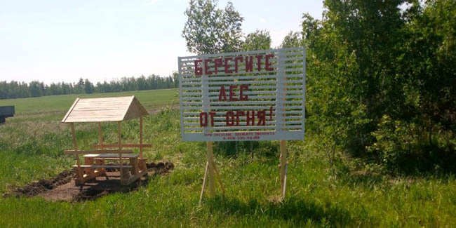 Лесоводы создали в лесах Омской области 215 специальных зон отдыха