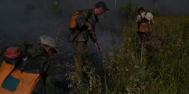 В одном из районов Омской области произошло сразу два лесных пожара