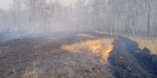 На западе Омской области ввели режим повышенной готовности из-за лесных пожаров