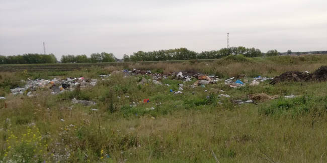 В одном из районов Омской области уже год не могут убрать свалку с пастбища