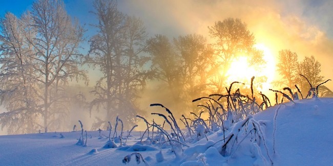 На выходных аномальные морозы усилятся и распространятся по всей Омской области