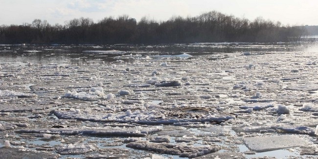 В марте реки Омской области были загрязнёнными, а воздух Омска – чистым