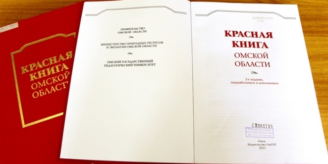 Изучать внесённые в Красную книгу Омской области организмы будет иногородний подрядчик