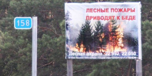 Жителям и гостям Омской области запретили ходить в лес