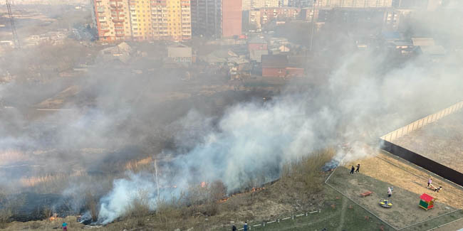 В Омске горел камыш на площади 15 тысяч квадратных метров