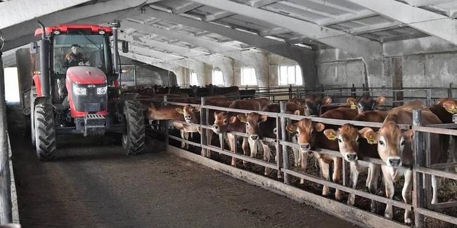 Холдинг «Ястро» планирует построить под Омском животноводческий комплекс на 2000 коров