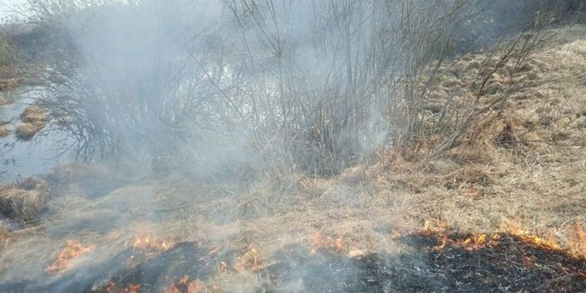 На выходных в Омской области вырастет риск пожаров
