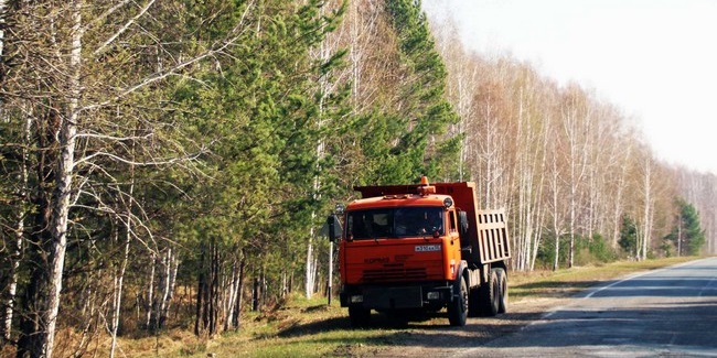 В Омской области продлили запрет на въезд в леса