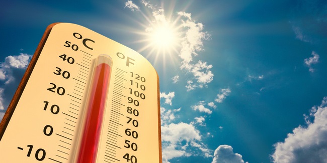 В Омской области наступит аномальная жара до +40°