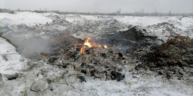 Депутат Госдумы предположил, что обнаруженные на свалке в Омске яйца были импортными