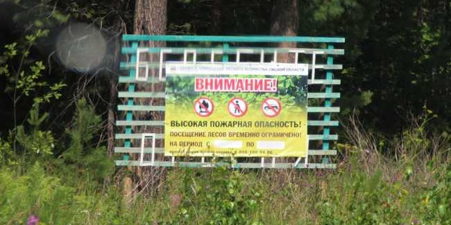 МЧС и Рослесхоз назвали Омскую область недостаточно подготовленной к сезону лесных пожаров
