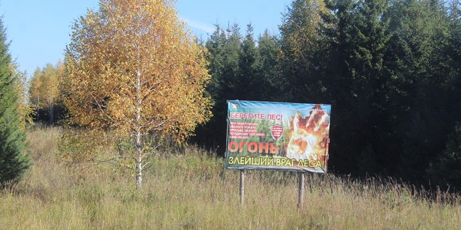 В Омской области ввели режим повышенной готовности к природным пожарам