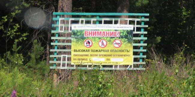 В Омской области вступило в силу ограничение на посещение лесов