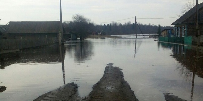 Уровень воды в реке Шиш на севере Омской области достиг опасной отметки