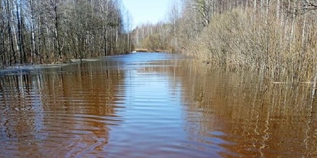 На севере Омской области затопило дорогу: проехать могут только грузовики