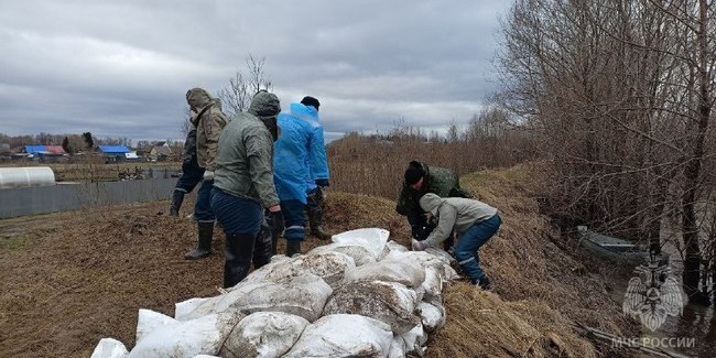 Жителей райцентра в Омской области эвакуируют из-за половодья