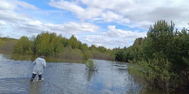 В Омской области расширили территорию, где действует режим ЧС из-за паводка