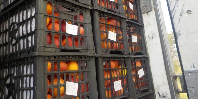 В Омскую область не пустили 53 тонны овощей и фруктов, которые везли по недействительным документам