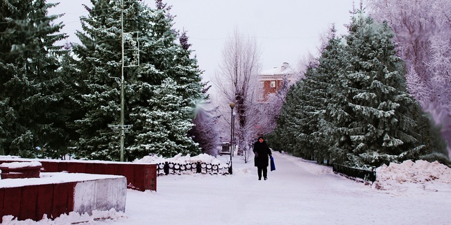 После похолодания до -24° в Омской области потеплеет до -1°