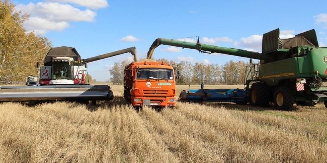 Определены лучшие сельхозпроизводители Омской области