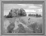 feature-image