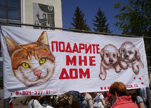 400 омичей поддержат «бездомышей»