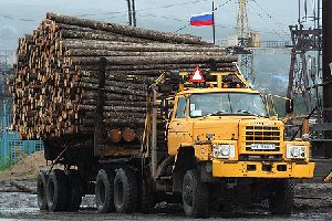 В Называевске выберут промплощадку под строительство лесоперерабатывающего комбината