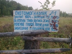 В омской области почти все скотомогильники бесхозные