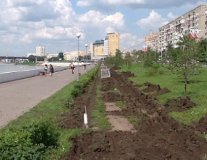 Костарев раскритиковал первую омскую велодорожку