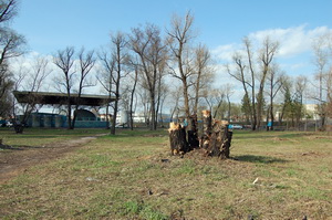 feature-image