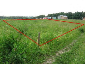 feature-image