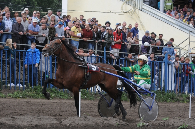 Ремель